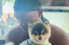 'What the f***'s going on?' - Daniel Sturridge pleads with burglars to return his missing dog