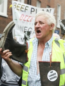 'F*ck off Mercosur': Angry scenes outside Leinster House as farmers protest against EU trade deal