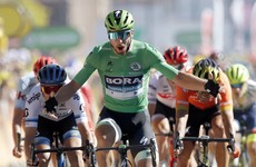 Sagan sprints to fifth stage victory but local hero Alaphilippe retains Tour de France lead