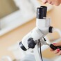 CervicalCheck backlog leaves women waiting months for abnormal cervix assessment