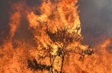 Thousands of people told to evacuate Hawaii towns due to wildfires