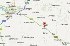 Elderly siblings assaulted during Limerick burglary