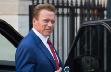 'Still here': Arnold Schwarzenegger rebukes Trump over bizarre death claim