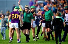 Wexford forward free for All-Ireland semi-final after appeal over 'abusive language towards referee'