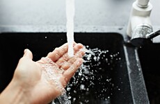 Referendum on water ownership could be held in early 2020, says minister