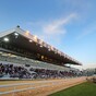'Voice of greyhound racing' Michael Fortune dies at 70
