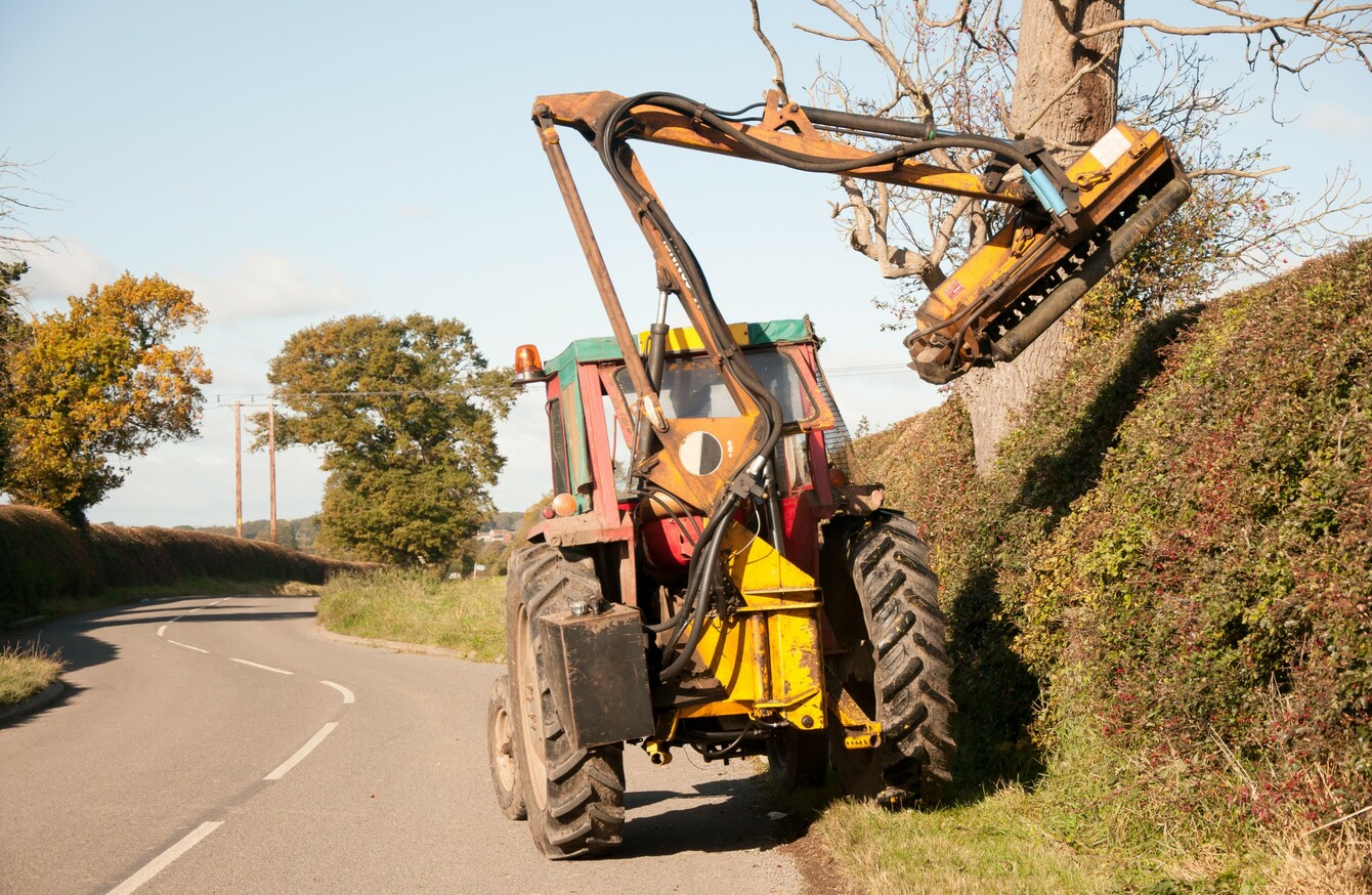 Government Drops Plans To Trial Roadside Hedge Cutting In August