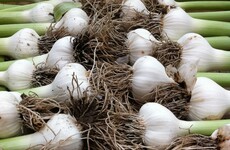 From the Garden: If your garden is blooming, it can sometimes be difficult to know what to cook