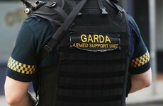 Gardaí seize guns and ammo at Limerick halting site in planned raid