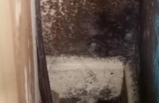 Remedial work begins on 'poor quality' council homes with mould issues in south Dublin