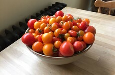 From the Garden: Homegrown tomatoes are perfect for these 'Anytime Eggs'