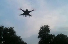 Video: Dead cat turned into a helicopter