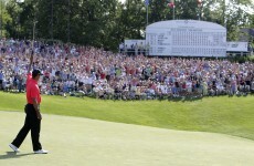 In the swing: Tiger back with a shot for the ages
