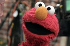 US terminates funding for Pakistani Sesame Street