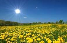 The Irish For: Bank holidays and Lú, the god of August