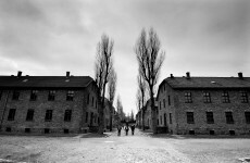 Euro 2012: Germany hit back at criticism of Auschwitz visit