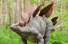 Quiz: How well do you know your dinosaurs?