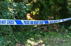 Men jailed in US after leaving Donegal man to die on grandmother's lawn