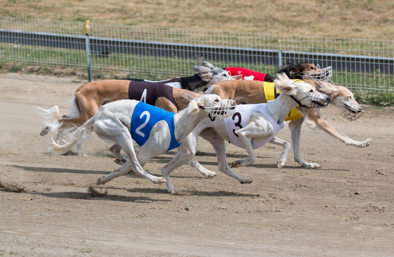 Longford greyhound track closes after 80 years citing ...