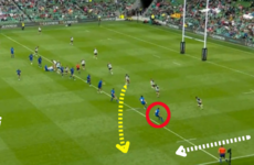 Analysis: Ireland's clever kicking shows Schmidt is keen for more variety