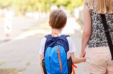 Poll: Should voluntary contributions to schools be scrapped?