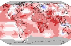 July confirmed as the hottest month on record
