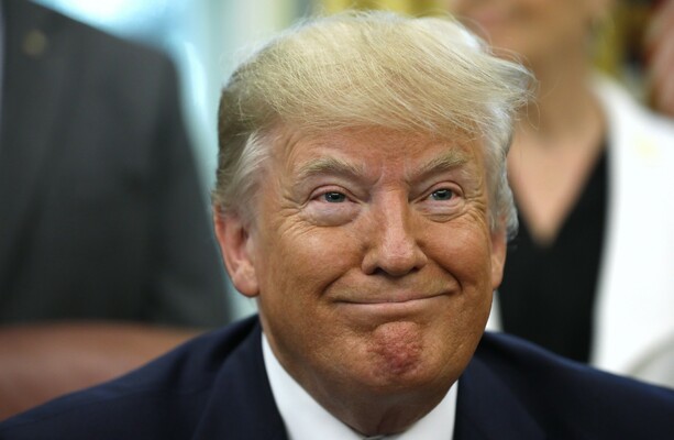 Donald Trump is reportedly interested in the US buying Greenland from Denmark