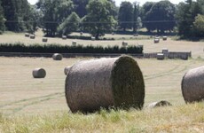 Saoirse McHugh: The time is right for an agricultural revolution in Ireland