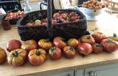 From the Garden: What to do when you have an abundance of vegetables