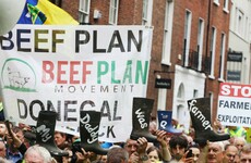 Emergency Brexit fund is accepting applications from Irish farmers from today
