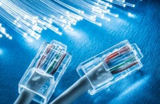 National broadband network should remain in public ownership, committee recommends