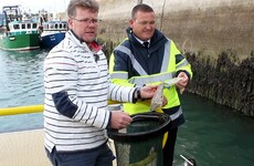 'It benefits ourselves and the environment': Seabin that collects plastic waste is launched in Howth Harbour