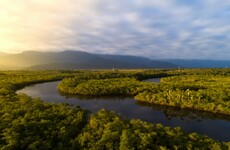 Record number of Amazon wildfires lit on purpose, claims president of Brazil