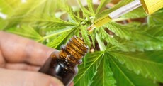 This Canadian medical cannabis firm is using Dublin as a base to take on the European market