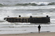 Japanese dock washes up in Oregon a year after tsunami
