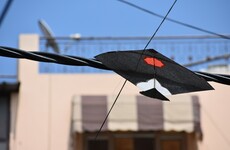 Indian girl dies after slitting throat in second deadly kite accident in a week