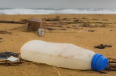 Survey finds majority of Irish beaches and rivers are polluted: these are the biggest blackspots