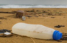 Survey finds majority of Irish beaches and rivers are polluted: these are the biggest blackspots