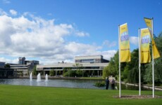 Maynooth University sues UCD over alleged 'poaching' of professor