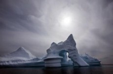 Huge quantities of plankton discovered under Arctic ice