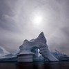Huge quantities of plankton discovered under Arctic ice