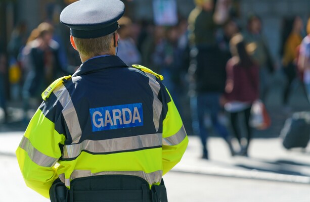 Garda injured after suspect flees scene on M50 and arrested following ...