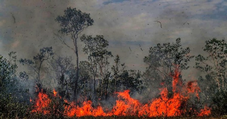 Tens of thousands of fires are burning in the Amazon - here's what you ...