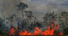Tens of thousands of fires are burning in the Amazon - here's what you need to know