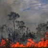 Tens of thousands of fires are burning in the Amazon - here's what you need to know