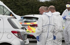 'Lot of young children were close': Gardaí make appeal over 'indiscriminate' Louth shooting
