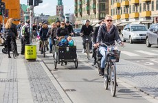 Poll: Should there be Copenhagen-style cycle lanes in every major Irish city?