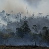 US ready to fight Amazon forest fires ... but only if it involves working with Brazilian government