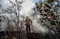 Saoirse McHugh: How Ireland can help in fighting the Amazon rainforest fires