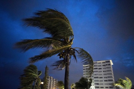 Strong winds move the palms of the palm trees at the first moment of the arrival of Hurricane Dorian in Freeport, Grand Bahama. 
